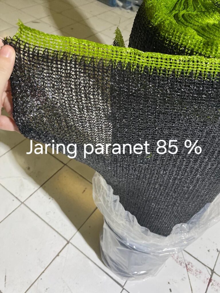 WhatsApp Image 2026-03-28 at 14.49.42